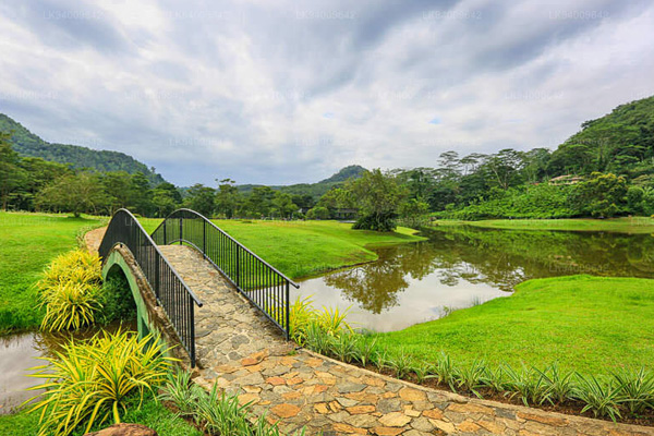 Wet-Zone-Botanic-Gardens,-Awissawella.-Main-IMg